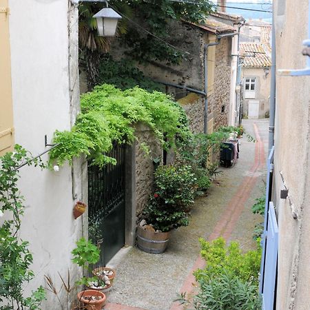 Maison Rives - Village Du Livre De Montolieu 外观 照片